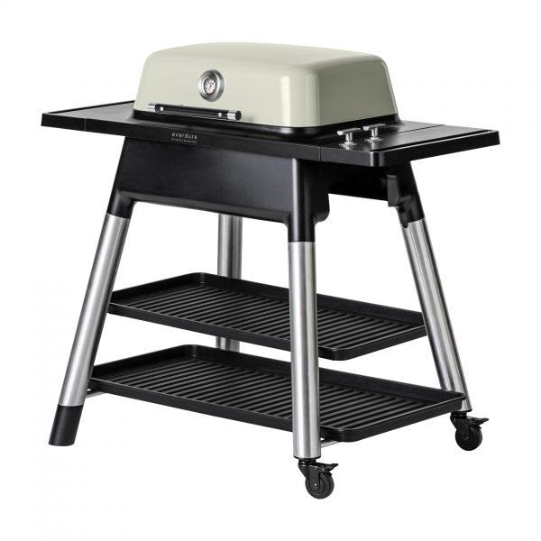 FORCE™ 2-Burner BBQ Gas Grill - grillsNmore.com