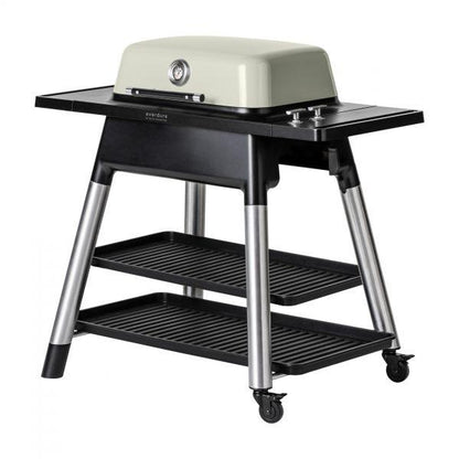 FORCE™ 2-Burner BBQ Gas Grill - grillsNmore.com